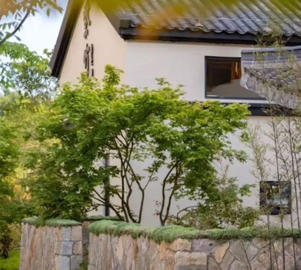 紫竹素食·茶空间