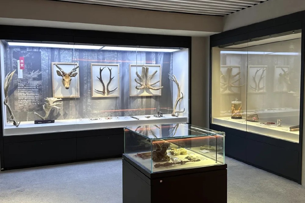 长生老号中医药（参茸博物馆）