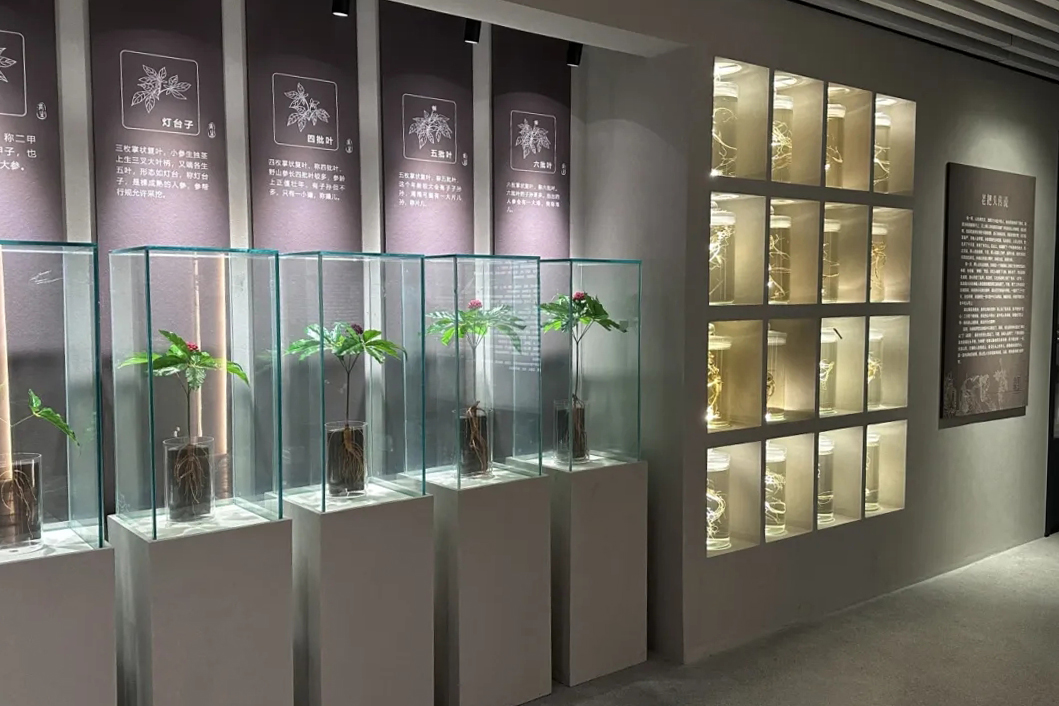 长生老号中医药(参茸)博物馆