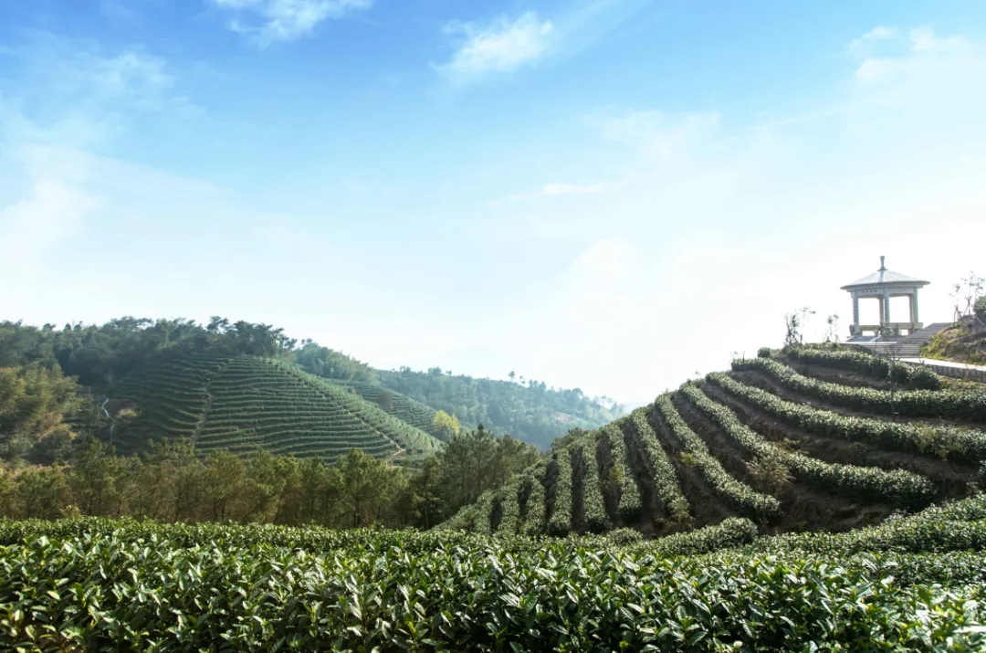 黄汤制作技艺体验馆